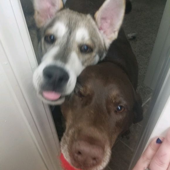 Meet your Posher, Aaron - Picture 1 of 1